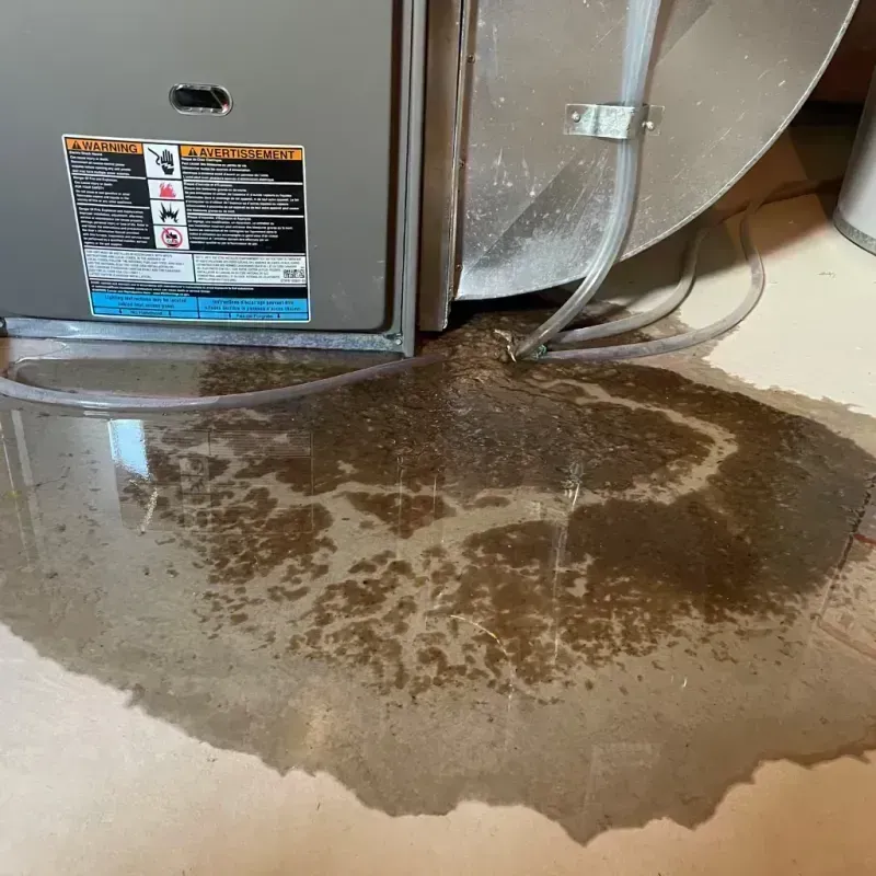 Appliance Leak Cleanup in Casa Blanca, AZ